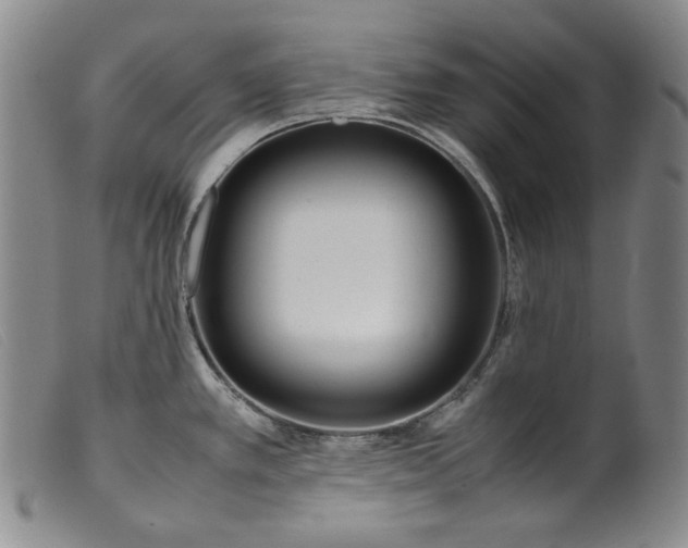 X0000099431389200805231643