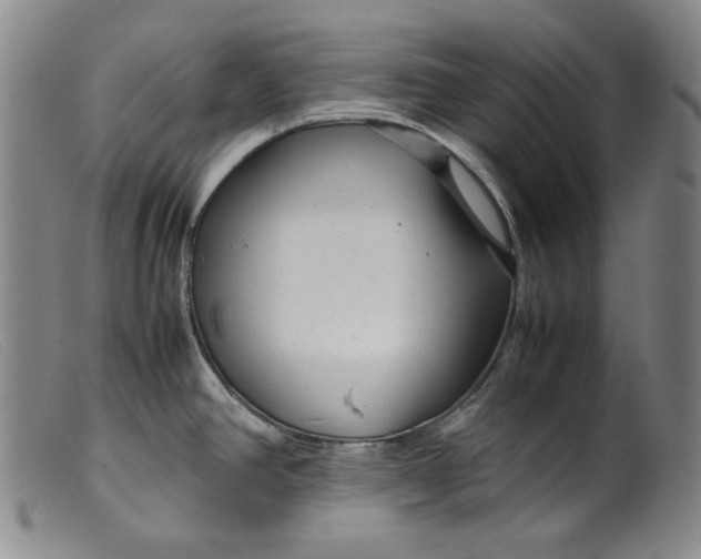 X0000099431390200805231643