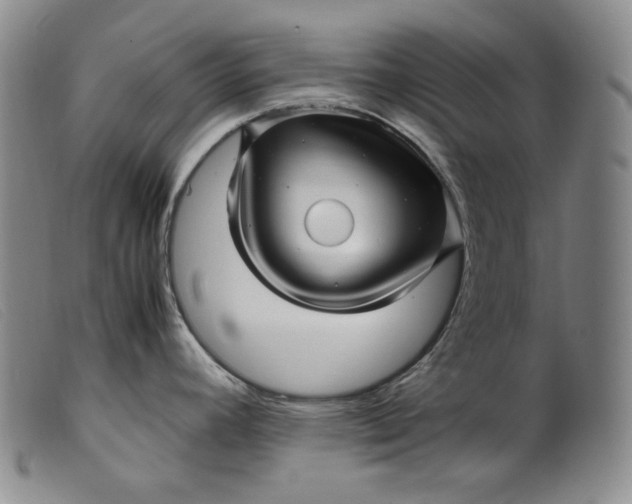 X0000099431392200805231643