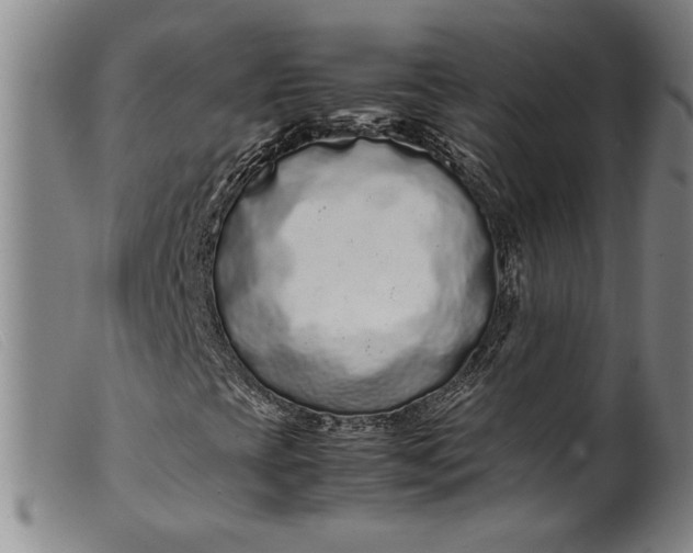 X0000099431393200805231642