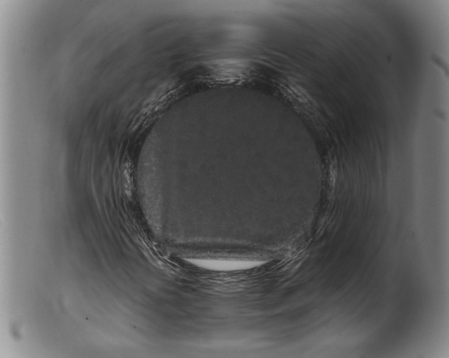 X0000099431394200805231642