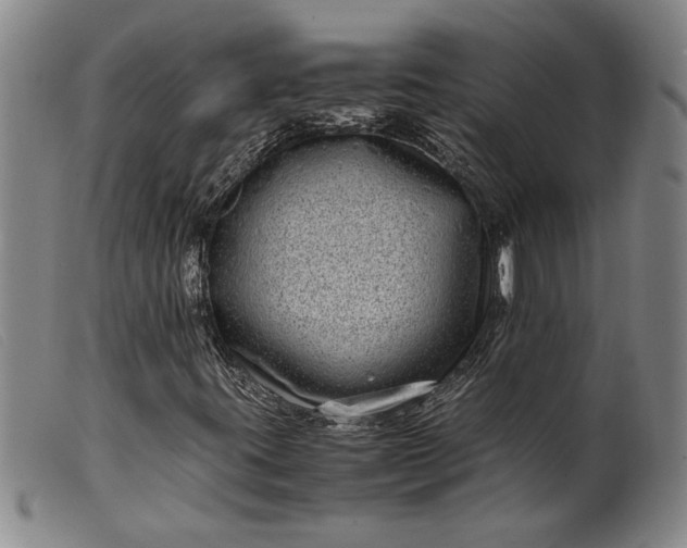 X0000099431395200805231642