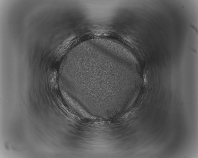 X0000099431396200805231642