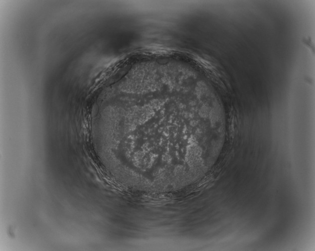 X0000099431397200805231642