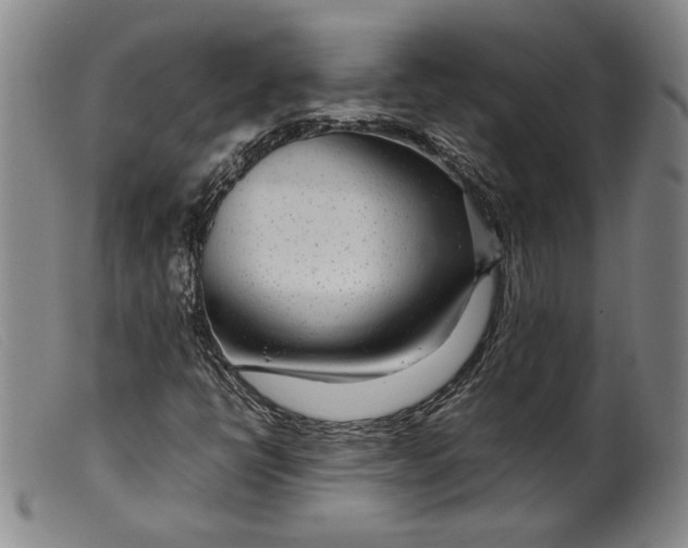 X0000099431398200805231642