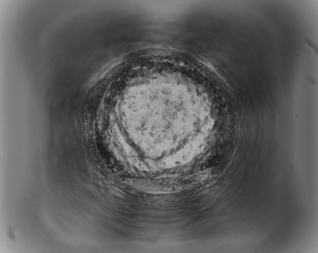 X0000099431399200805231642