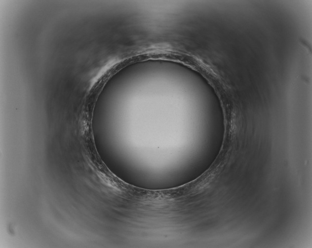 X0000099431400200805231642