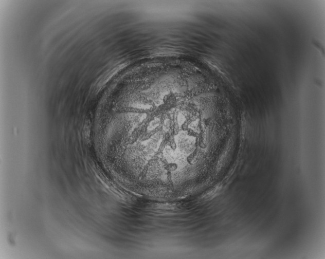 X0000099431401200805231642