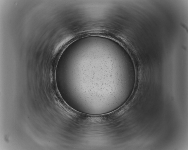X0000099431402200805231642