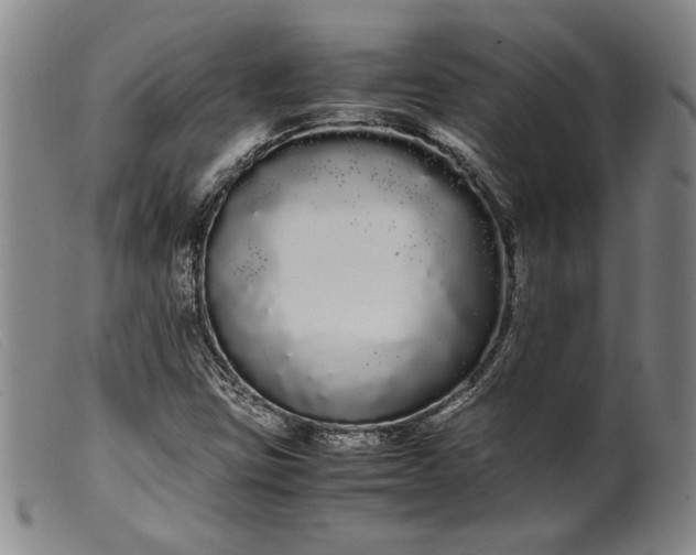 X0000099431403200805231642