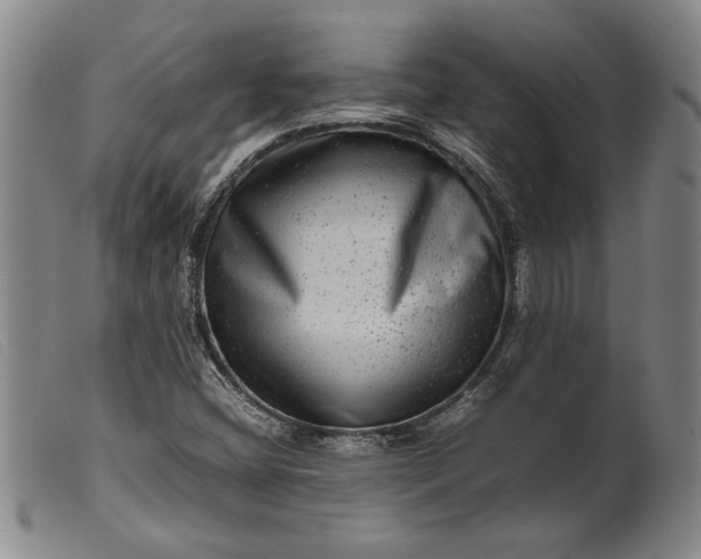 X0000099431404200805231642
