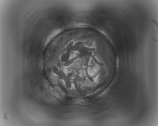 X0000099431405200805231642
