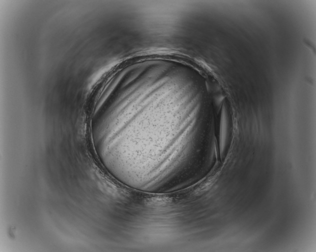 X0000099431406200805231642