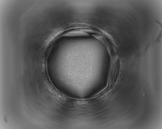 X0000099431407200805231642