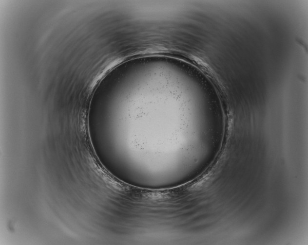 X0000099431409200805231642
