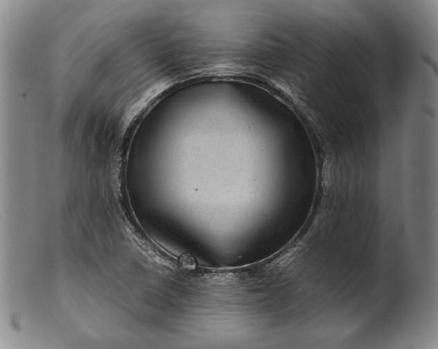 X0000099431410200805231642
