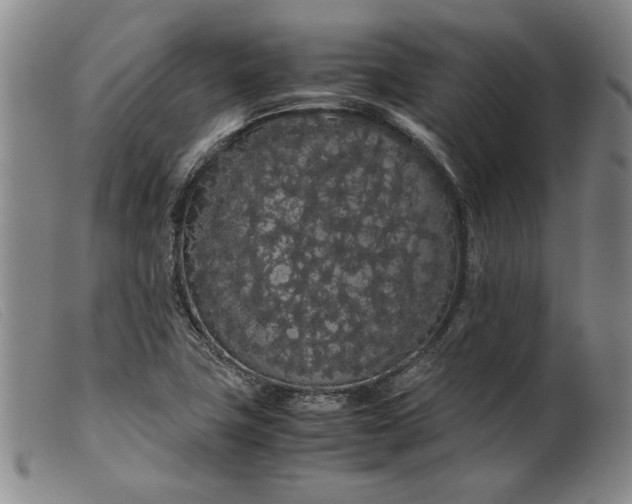X0000099431411200805231642