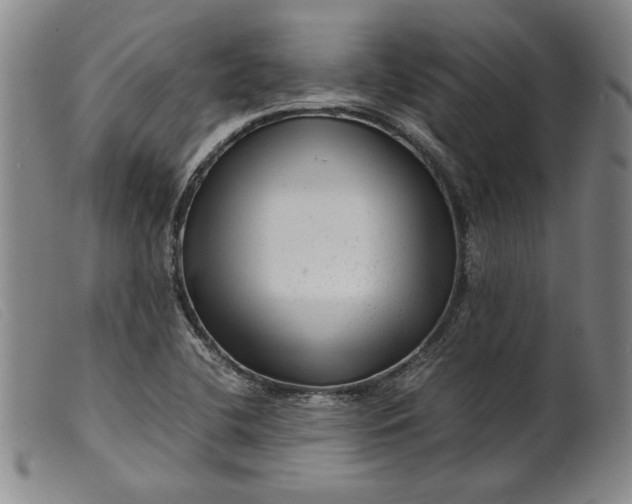 X0000099431412200805231642