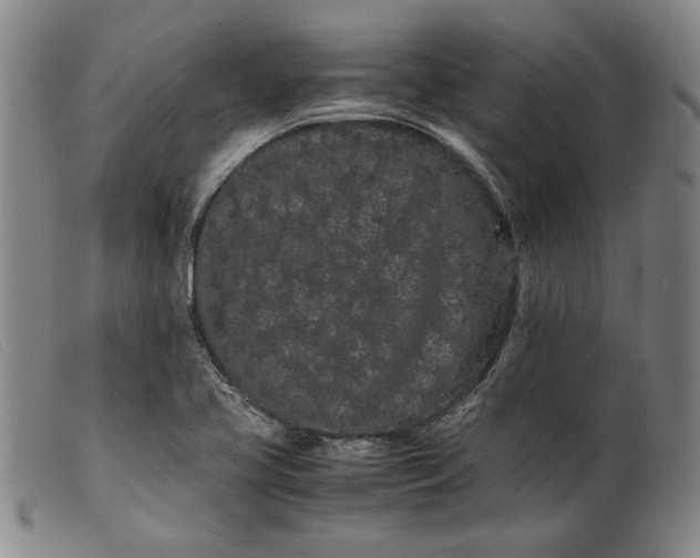 X0000099431413200805231642