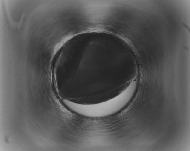 X0000099431414200805231642
