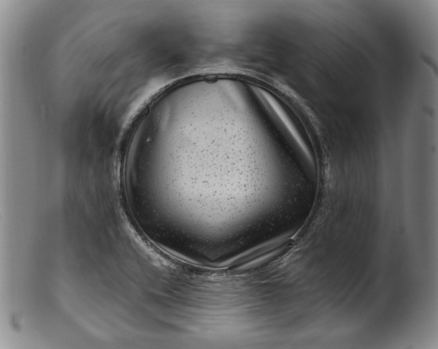 X0000099431416200805231642