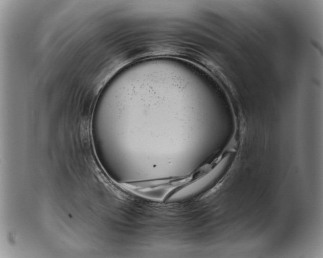 X0000099431417200805231642