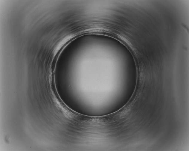 X0000099431418200805231642