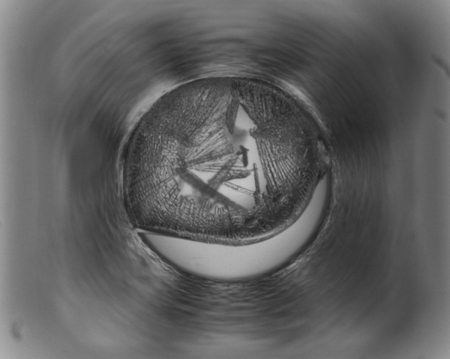 X0000099431419200805231642