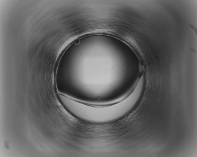X0000099431420200805231643