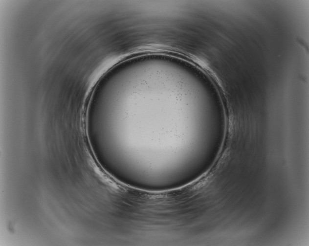 X0000099431421200805231643