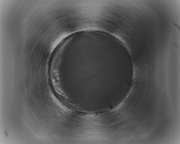 X0000099431422200805231643