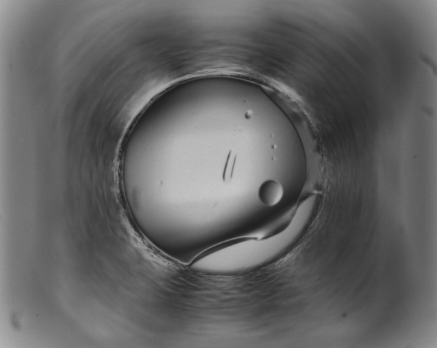 X0000099431423200805231643
