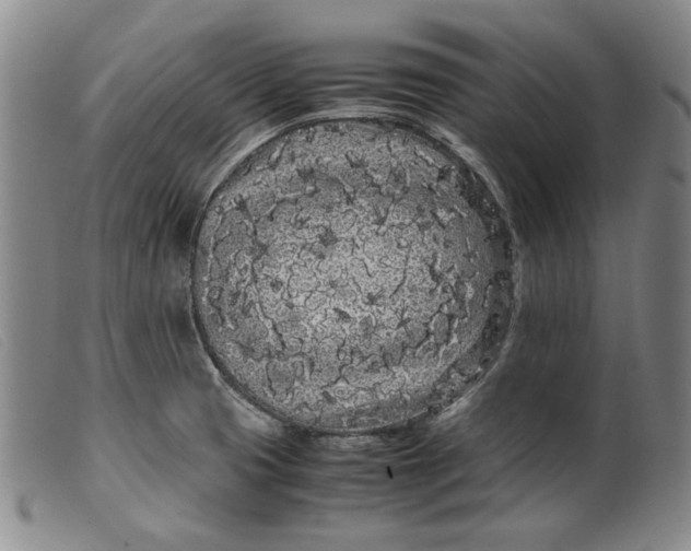 X0000099431425200805231643