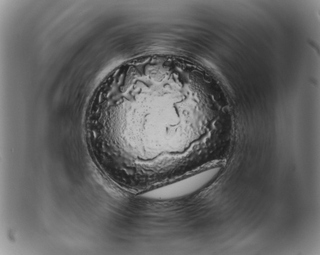 X0000099431427200805231643