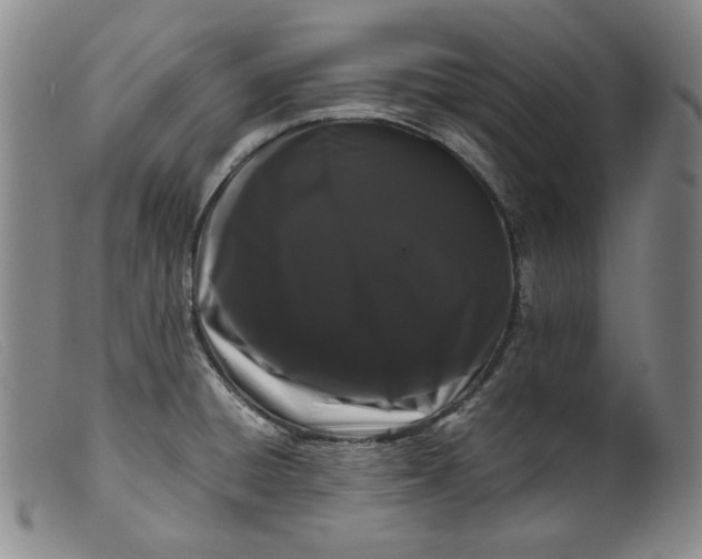 X0000099431428200805231643