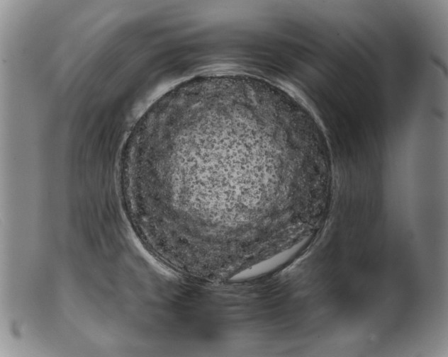 X0000099431429200805231643