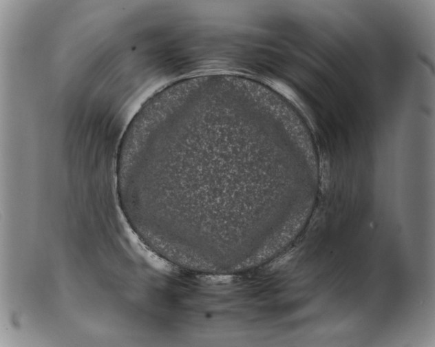 X0000099431431200805231643