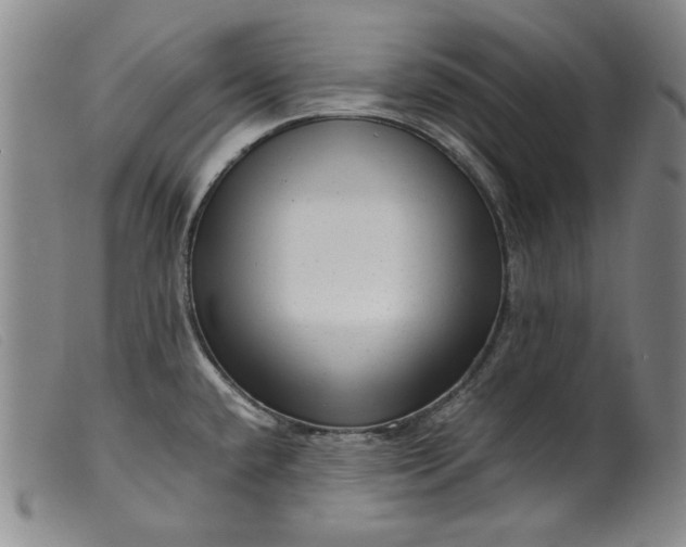 X0000099431432200805231643