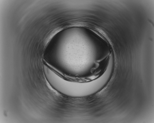 X0000099431433200805231643