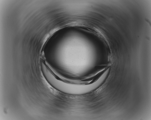 X0000099431434200805231643