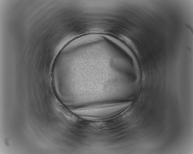 X0000099431435200805231643