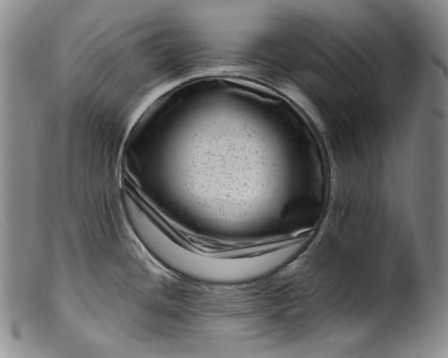 X0000099431436200805231643