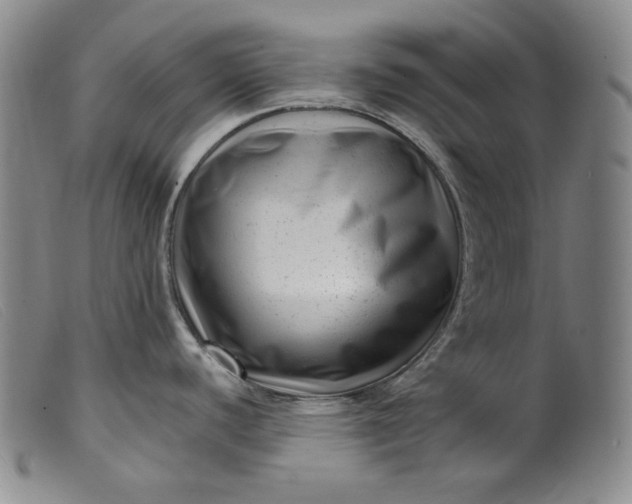 X0000099431440200805231643