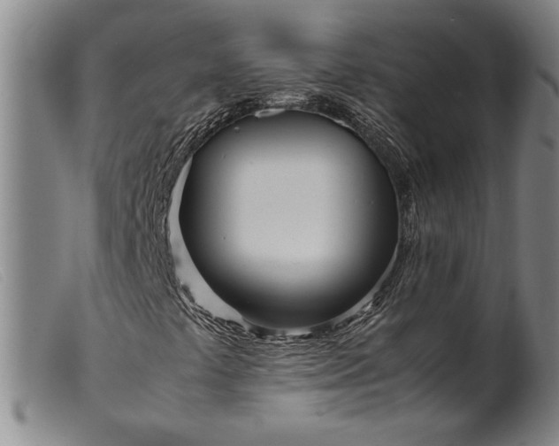 X0000099431441200805231642