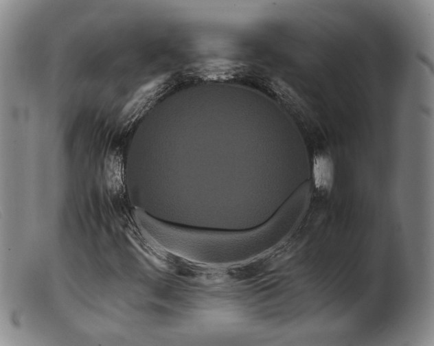 X0000099431444200805231642
