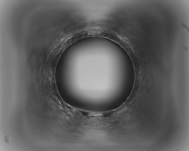 X0000099431445200805231642