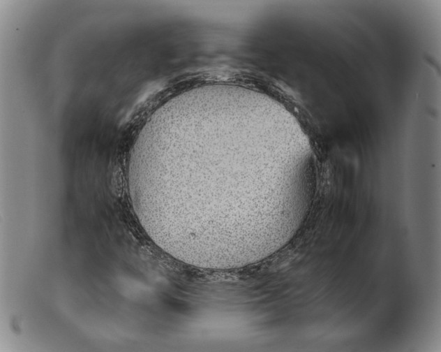 X0000099431446200805231642
