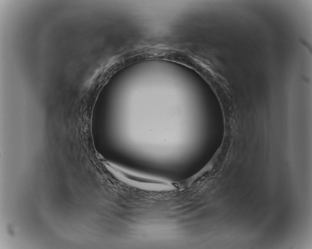 X0000099431447200805231642