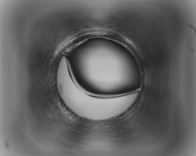 X0000099431448200805231642