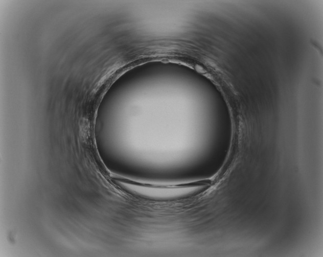 X0000099431449200805231642